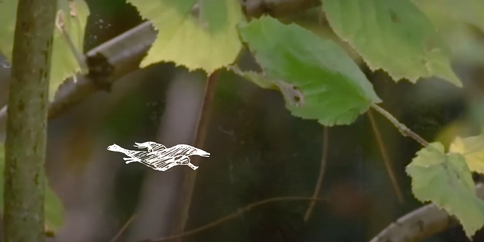 Digital art of a bird flying under leaves.