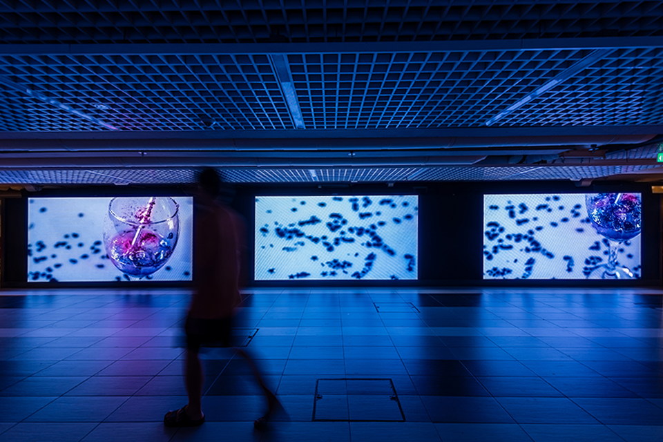 LED screen in a corridor displaying digital artwork.