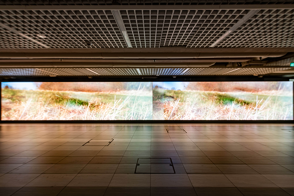 LED screen in a corridor displaying eyes.