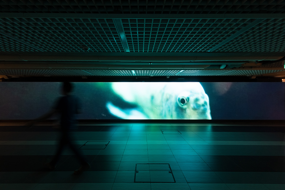 LED screen in a corridor displaying a fish.