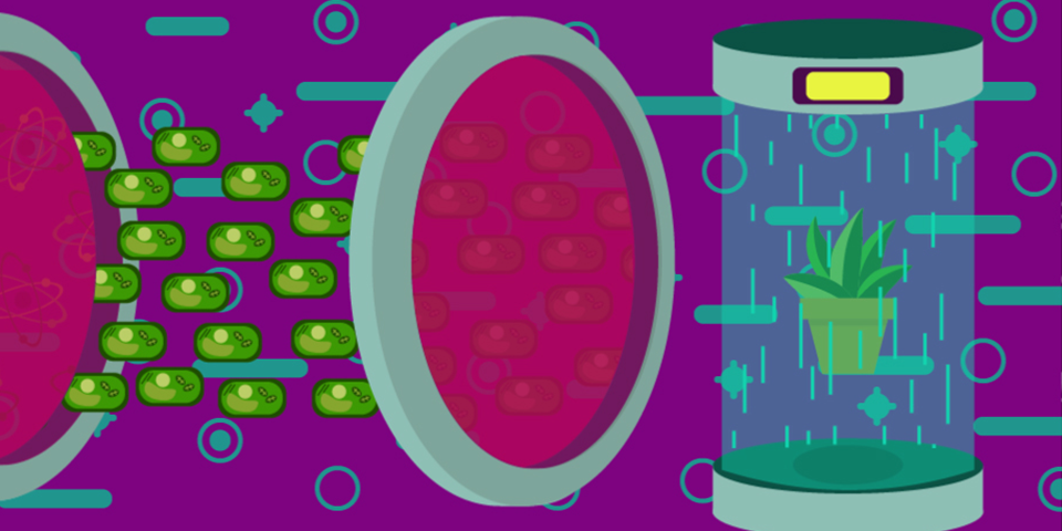 Digital artwork of a bright pink background, with pink circles on the left and middle, with green rounded rectangles between them. Then a plant pot inside of a "machine" with stars and lines of the colour blue, in the background. There is a yellow lable on the "machine".