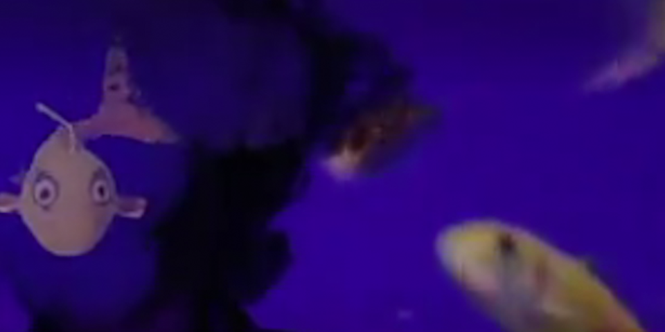 Digital artwork of fish swimming in purple water.